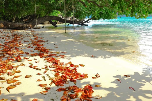 Surin island national park in Thailand