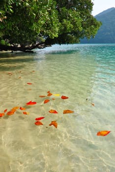 Surin island national park in Thailand