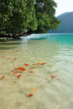 Surin island national park