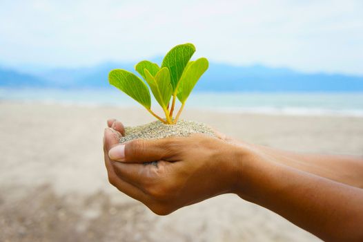 Women holding a small young plant in her hands. 