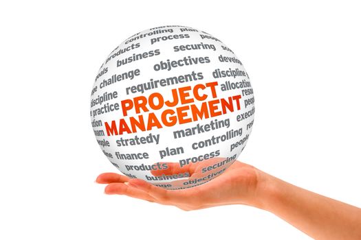Hand holding a Project Management 3d Sphere.