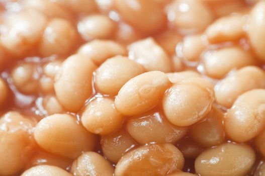 Cooked baked beans with tomato sauce in close-up.  Filling whole frame.