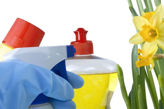 Bleach, washing up liquid, and a spray bottle beside some daffodils.  A hand in a rubber glove reaches in from lower left frame to pick up a cleaning product.  White background.
