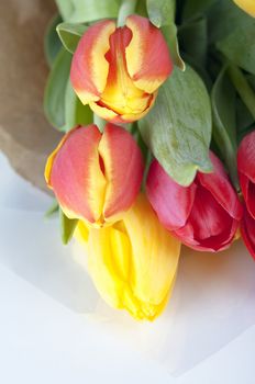 Close up of a bouquet of yellow and pink tulips, wrapped in brown paper and cellophane on a white background.