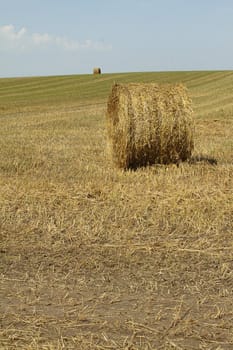 Two haystacks on a field in sunny day