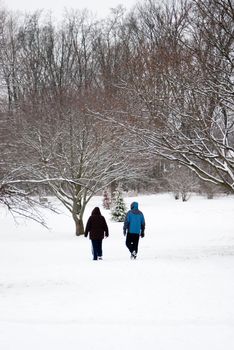 An unidentifiable couple walks through the park snow.