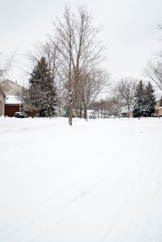 Fresh snow in the neighborhood.