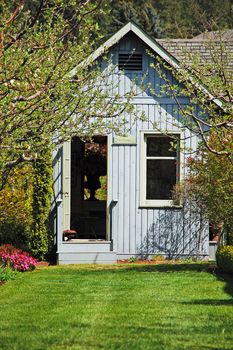 Wooden blue garden shed in the spring