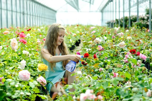 An image of a nice girl watering flowers