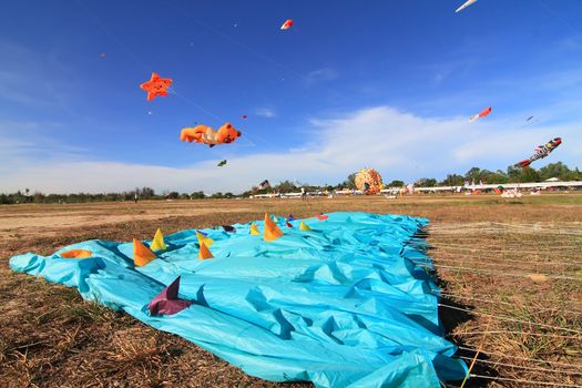 CHA-AM - MARCH 10: Colorful kites in the 12th Thailand International Kite Festival on March 9, 2012 in Naresuan Camp, Cha-am, Thailand