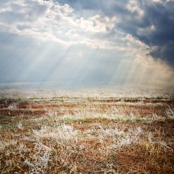 landscape with the sky and the field