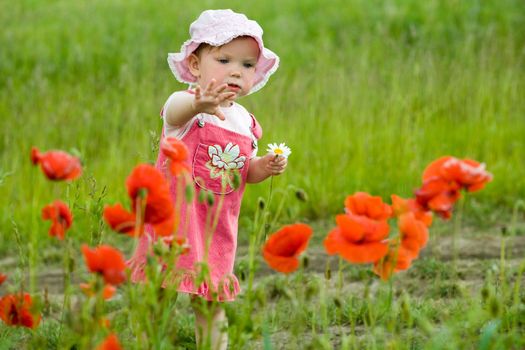 An image of baby-girl amongst green field with red poppies