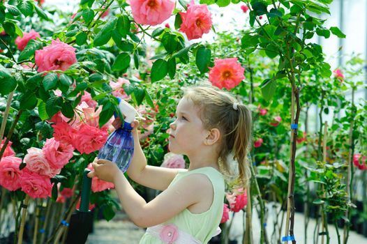 An image of a little girl watering flowers in a greenhouse