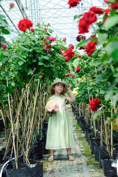 An image of a little beautiful girl in a greenhouse