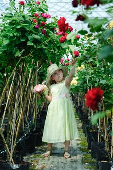 An image of a little beautiful girl in a greenhouse