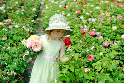 An image of a girl in a greenhouse