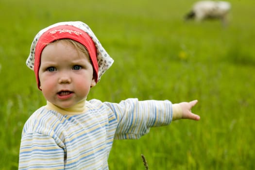 An image of a baby in green field