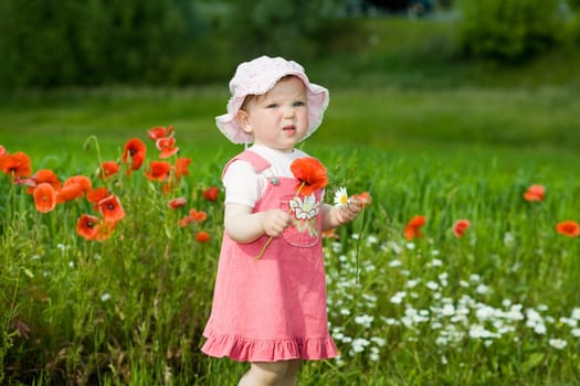 An image of baby-girl amongst field with red poppies
