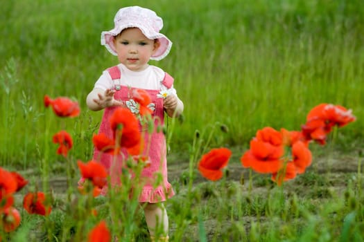 An image of baby-girl amongst field with poppies