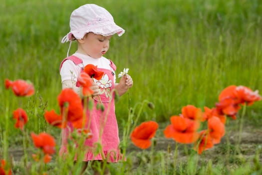 An image of nice baby-girl amongst green field with red poppies