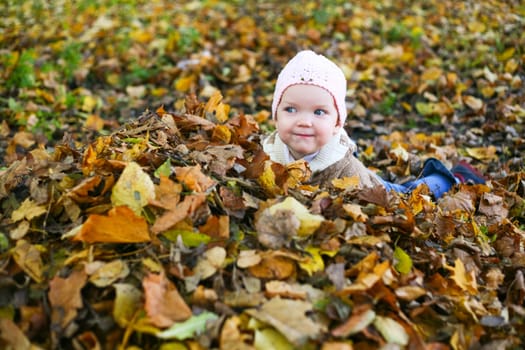 A little child playing in yellow maple leaves