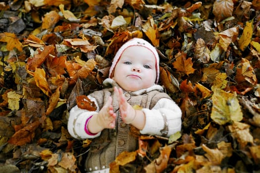 An image of nice child in leaves in autumn park
