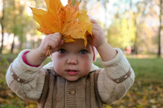 An image of baby in leaves in autumn park