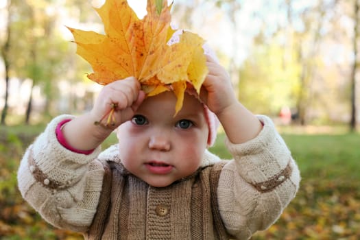 An image of nice baby in leaves in autumn park