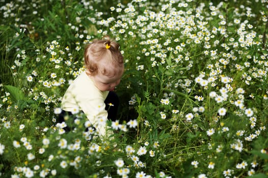 Baby-girl amongst a field with white flowers
