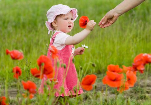 An image of nice baby-girl amongst green field with red poppies