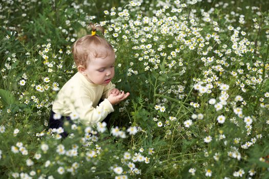 Little girl amongst a field with white flowers