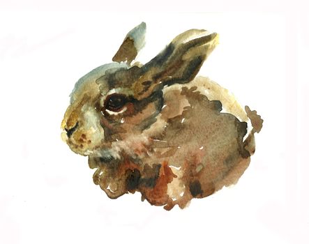 small hare watercolor