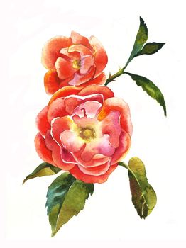 red dogrose brunch watercolor