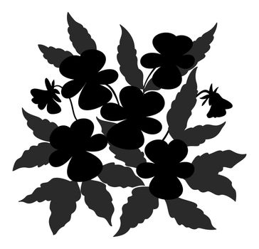 Flowers and leaves pansies, black contour on a white background