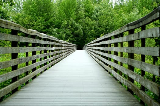 a Wooden bridge through the forest