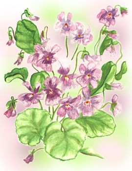 violets flowers watercolor paint