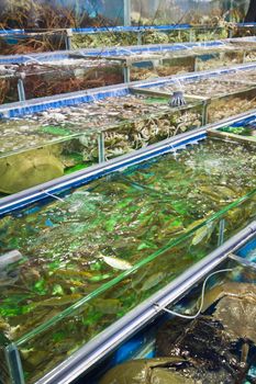 Seafood for sale in Hong Kong