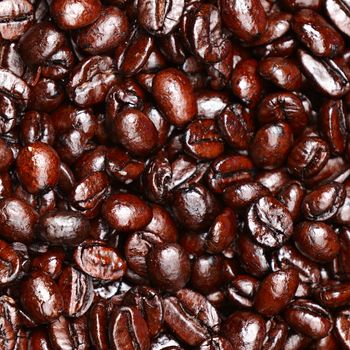 Coffee beans background texture. Arabica dark roast coffee beans close up.