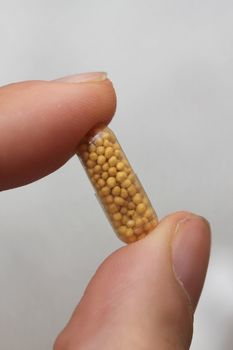 the capsule in hands