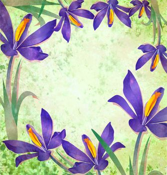grunge spring flower crocus frame with green background