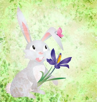 Easter rabbit with crocus flower on grunge paper green background