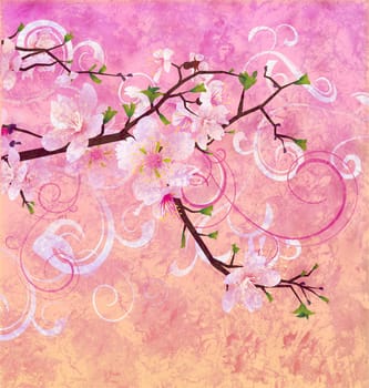 peach pink colors blooming cherry tree grunge background