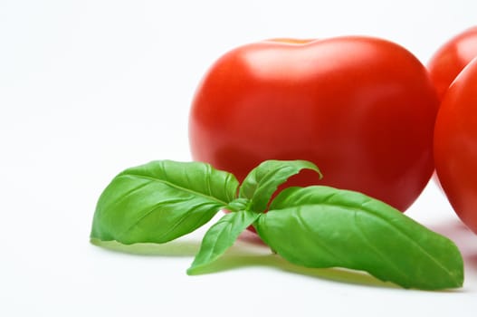 Close up of a sprig of basil nestled against a group of red tomatoes.  Only one tomato is entirely in frame.