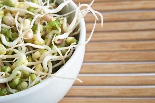 Close up of mung beansprouts in a white china bowl on a bamboo placemat.  Cropped in-camera on left side. 