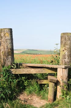 A country stile, leading to a poppy field and farmland beyond.  Copy space in pale blue sky.  Vertical (portrait) orientation.