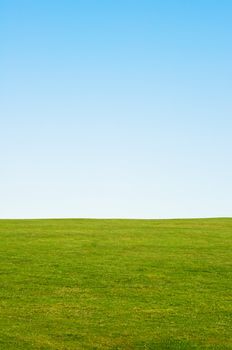 Green grass and blue sky background, providing copy space in the sky.  Vertical (portrait) orientation.