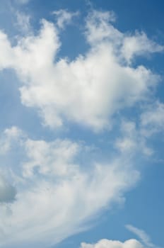 Natural shot of a blue sky with white fluffy clouds.  Portrait (vertical) orientation.  
