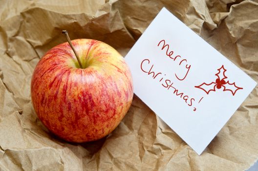 Conceptual image to convey a frugal Christmas.  An apple surrounded by brown wrapping paper, with a Christmas gift message.