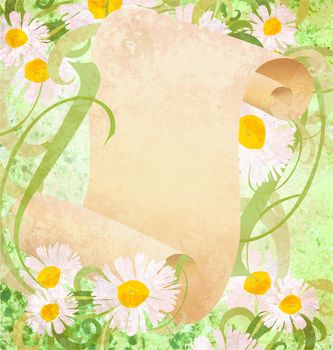 daisy flowers, green grass and old paper scroll illustration