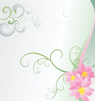 pink flowers on white background vector image